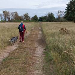 Nah der Oder, fern vom Radweg!