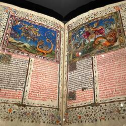 Beautifully kept books about the Royals