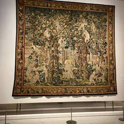 Vine Pergolas and Boys Harvesting Grapes