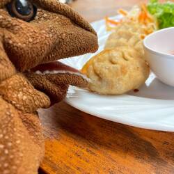 ALLE trying a fried potato momo