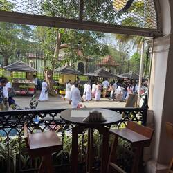 Our view from the verandah of the Empire Cafe.