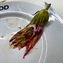 Zucchini Flower after being smeared over the palate