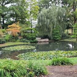 im Park des Festspielhauses