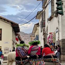 Die peruanische Froue mit ihrnä Alpaka