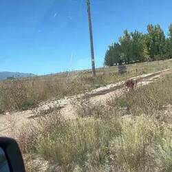 The prairies and lakes