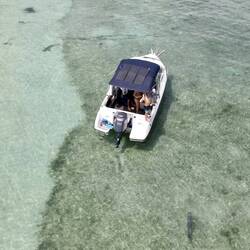 Spot the sharks and GT 😀