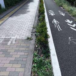 Walkways and Traffic-ways Clearly Marked