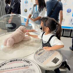 Virtual Pet Lowers Blood Pressure