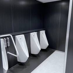 Sparkling Toilets