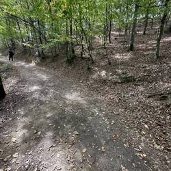 The type of trail we hiked on