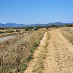 Pretty sure we're hiking over that tomorrow.