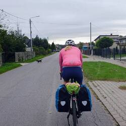 Mal ein nicht-bellender Hund🐕