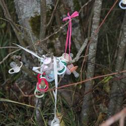 Schnullerbaum ... dort können die Kinder Ihre Schnuller anhängen