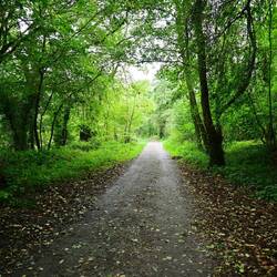 The walk from Grosmont to Goathland