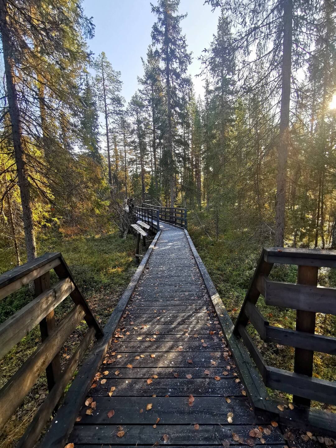 Los geht's 🍃❄️🥾