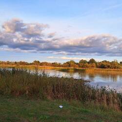 Polen auf der anderen Oderseite im Abendlicht!