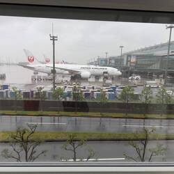 The scene that greeted us at Haneda Airport.