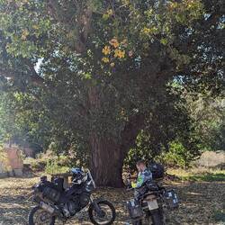 So langsam kommen auch im Süden Europas Herbstgefühle auf