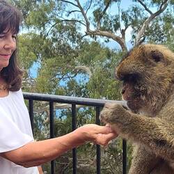 So fun to have this monkey eating out of my hand