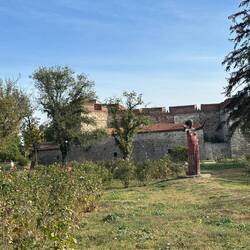 Fabulous rose garden in front Baba Vida Castle