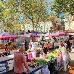 Split fruit market