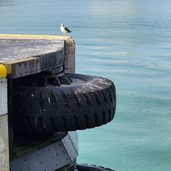 Impressive wheel bumpers at entry to the canal. Rotterdam in background