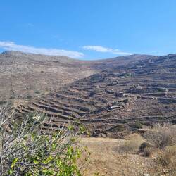 Former 🚜 farm land