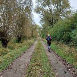 Schöner alter DDR Betonplattenweg!😁