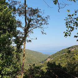 Das Meer ist schon weit weg