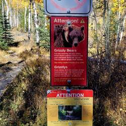 Hier wollten wir dann nicht mehr weiter 🙃.