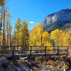 Indian-Summer in gelblicher Variante.