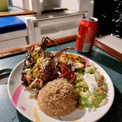 Frischer Hummer direkt von den Einheimischen fürs Abendessen geliefert 🦞👌😁