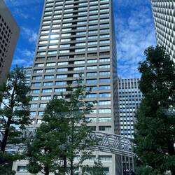 Trees and Greenery Everywhere