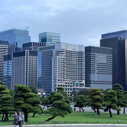 Downtown Tokyo Has a Thousand Parks