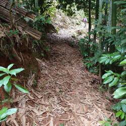 Path up the mountain