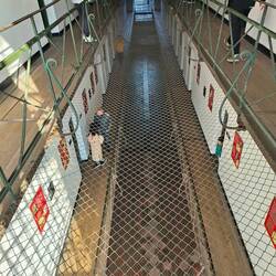 3rd floor of cells. Netting is between floors to prevent jumping to their death to avoid tortures