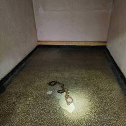 The Black Room. Prisoners chained naked in water forced to stand in freezing conditions