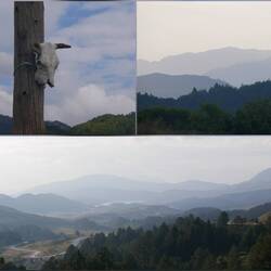 Christoph's 📸Werke