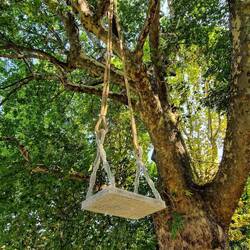 Nicola Bolla - Vanitas altalena