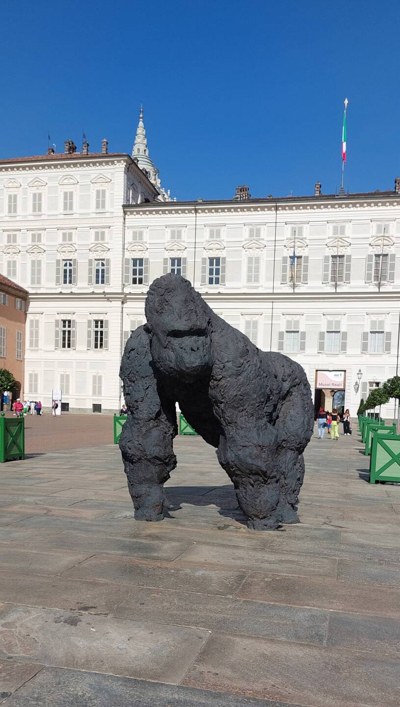 Davide Rivalta - Gorilla