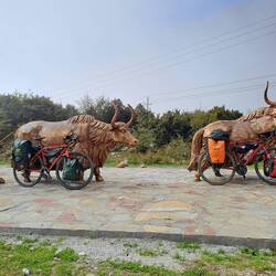 Lastentier trifft Lastenrad