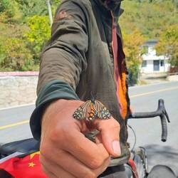 Biodiversität ohne Ende