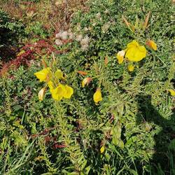 Ja, ist denn wirklich schon Oktober?