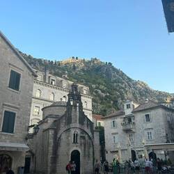 Kotor
