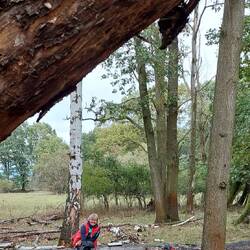 Auch heute keine Bänke!