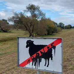 Keine Ahnung was das soll?🙄