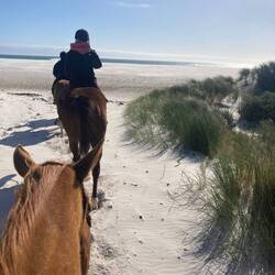 Erster Blick aufs Meer
