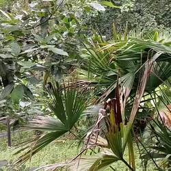 Unbedingt mit Ton luege😉