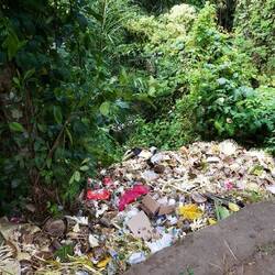 Müllablagerungen... leider sehr oft auf Bali
