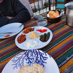 Traditional Turkish starters